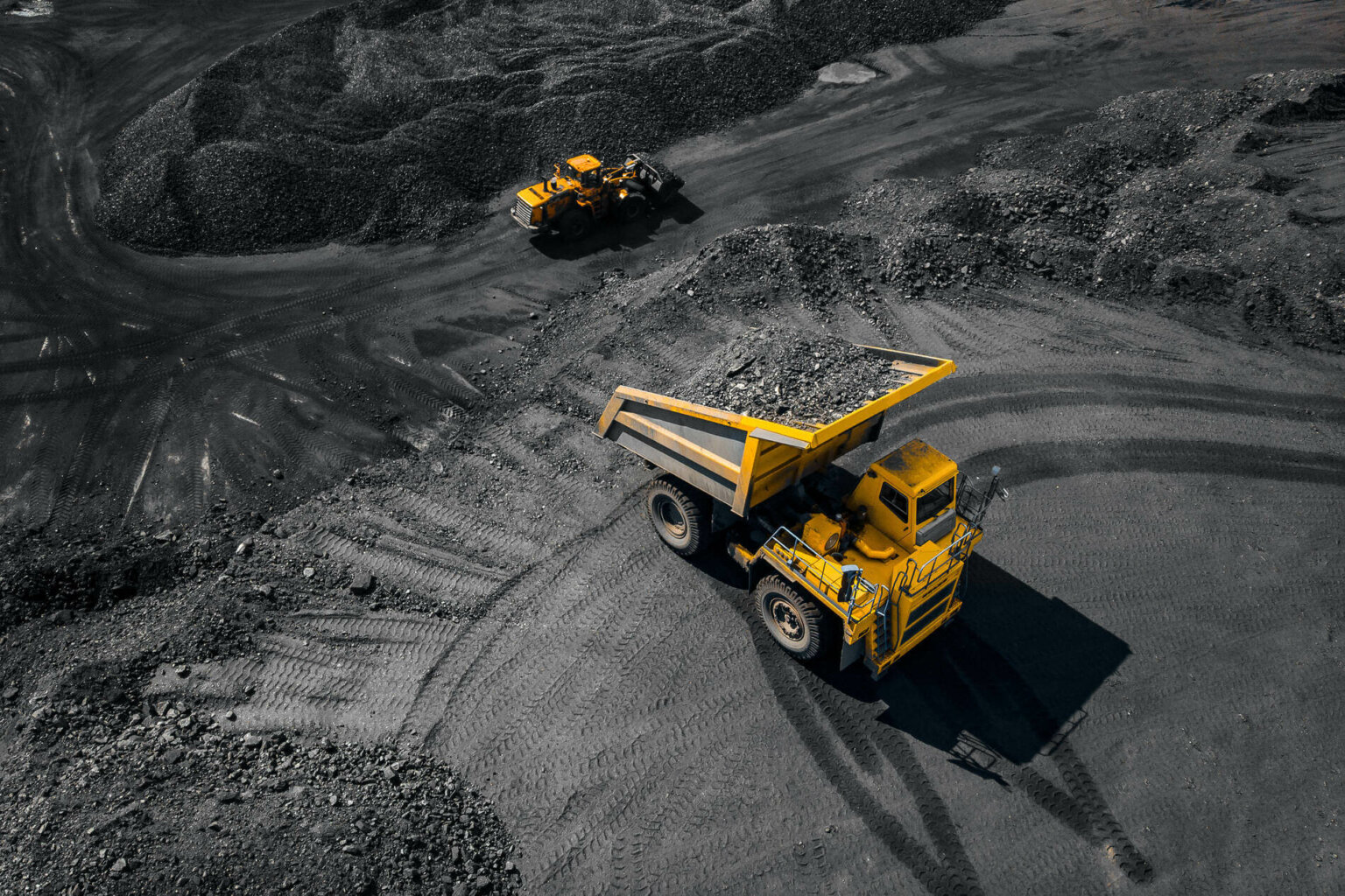 ALS waived privilege over parts of McGrathNicol report in coal testing ...